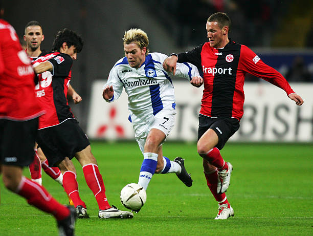 你在这篇文 你在这篇文